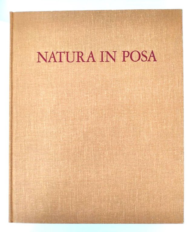 Natura in posa La grande stagione della natura morta europea …