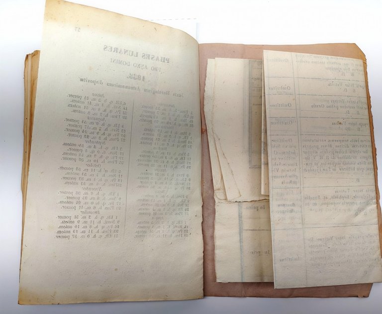 ORDO Camerino 1855 Arcivescovo Salvini Directorium Liturgico Storico