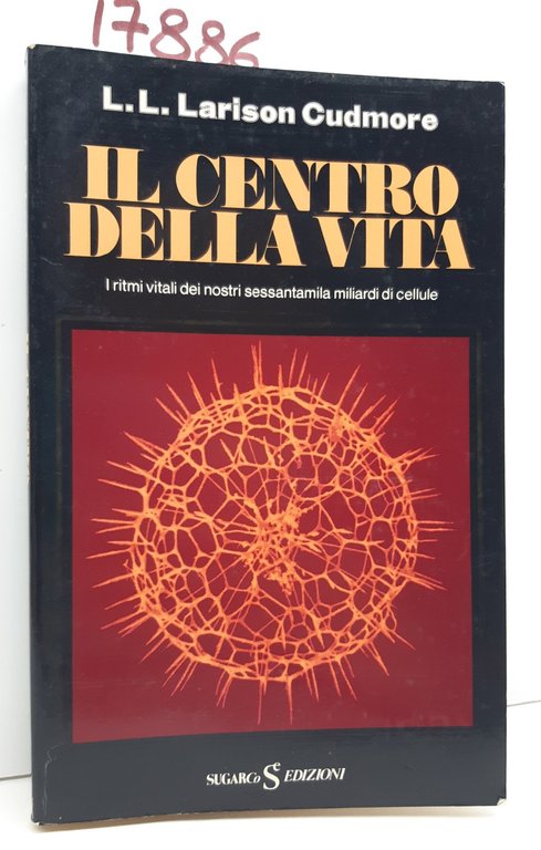 Oskar Batek Il teatro delle marionette Ottaviano 1981 | Immagine Gallery 6