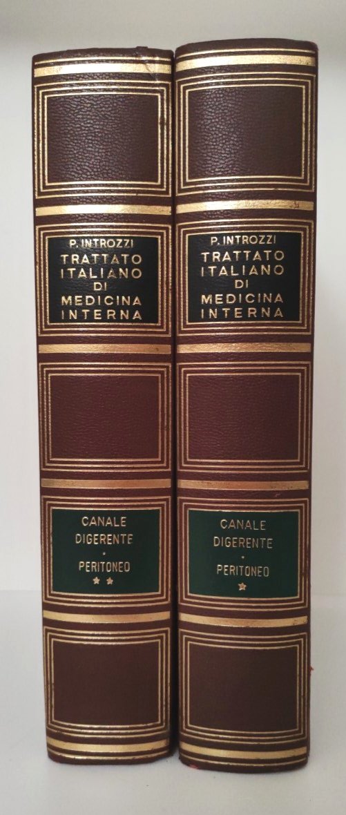 P. Introzzi Trattato italiano di medicina interna canale digerente peritoneo … | Immagine principale
