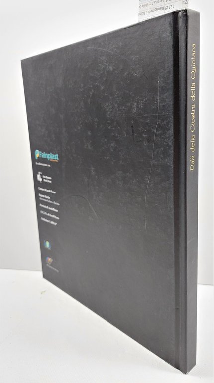Palii della giostra della Quintana Ascoli Fineplast 2007 | Immagine Gallery 2