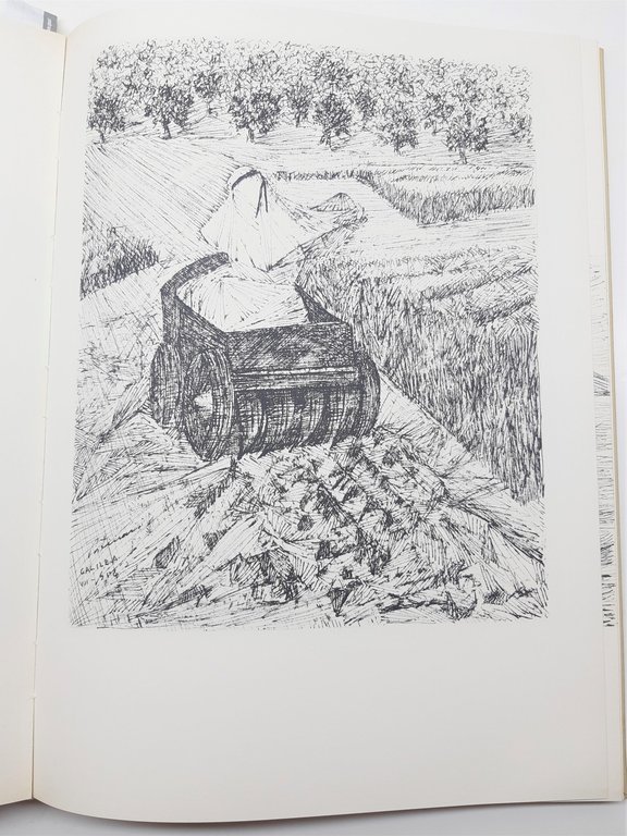 Portinari Israel Disegni Di Candido Portinari 1957 Tiratura Limitata | Immagine Gallery 4