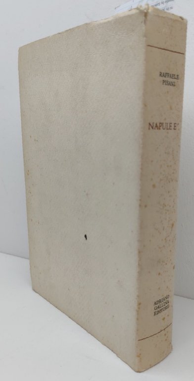 Raffaele Pisani Napule è Poesie 1960-1985 Adriano Gallina 1986 | Immagine Gallery 11