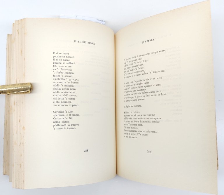 Raffaele Pisani Napule è Poesie 1960-1985 Adriano Gallina 1986 | Immagine Gallery 9
