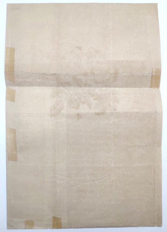 Regno d'Italia ministero dell'Agricoltura industria e commercio lo scarafaggio della …