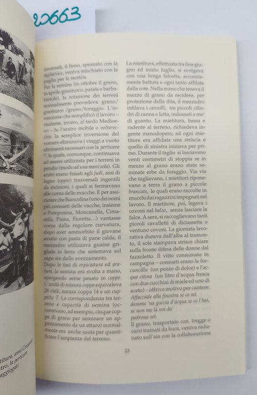 Renato Mattioni La fatica dei campi Il lavoro editoriale 1999