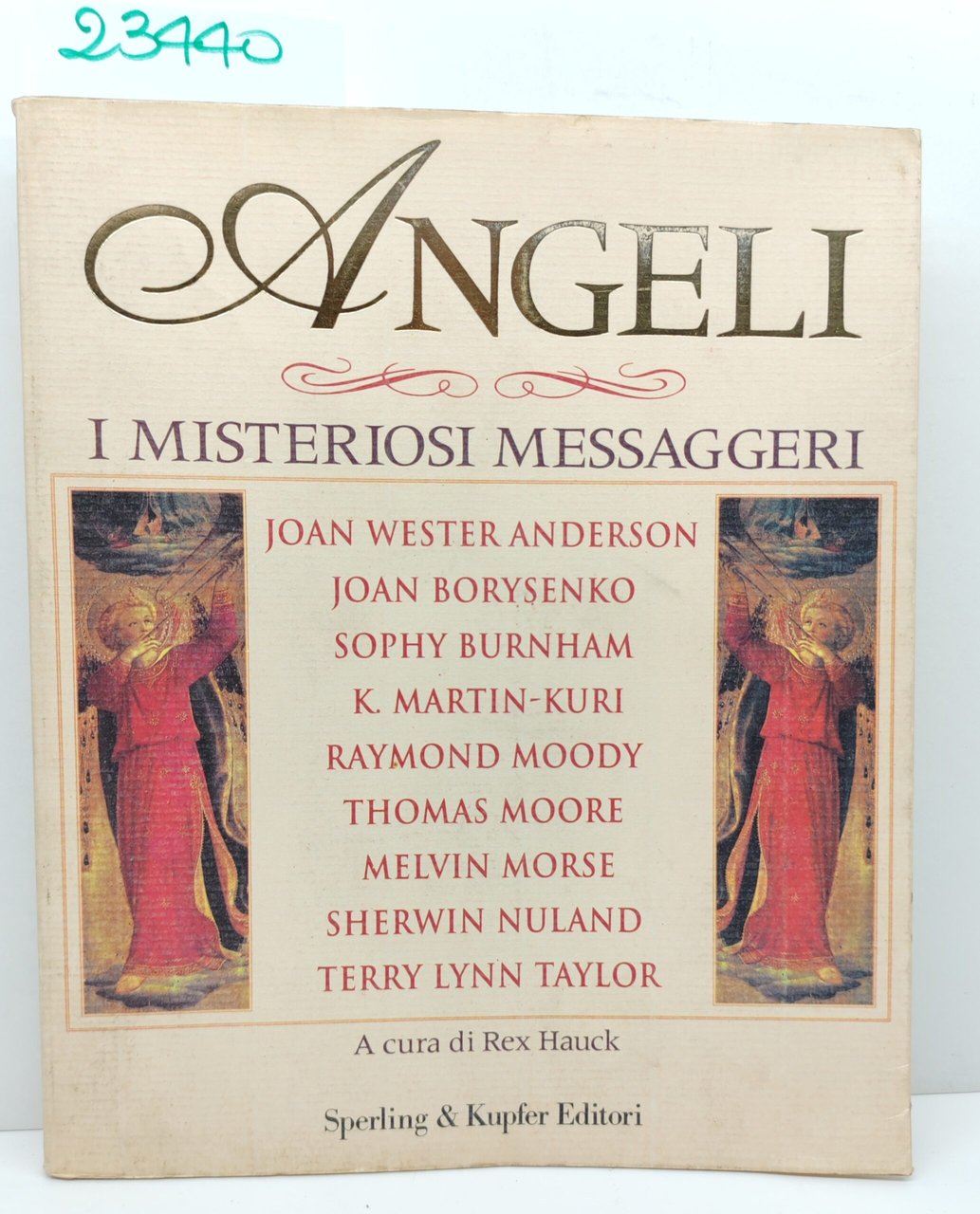 Rex Hauck Angeli i misteriosi messaggeri Sperling e Kupfer 1994 | Immagine principale