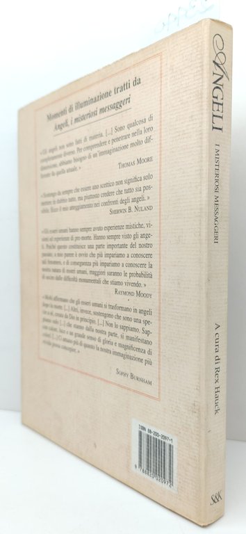 Rex Hauck Angeli i misteriosi messaggeri Sperling e Kupfer 1994 | Immagine Gallery 2