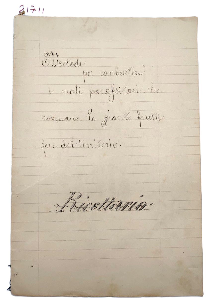 Ricettario manoscritto illustrato parassiti piante fruttifere 1920 c.a.