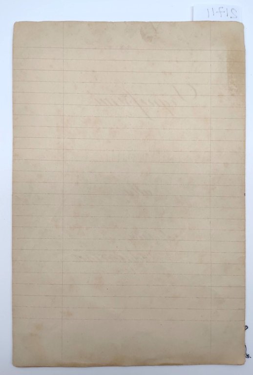 Ricettario manoscritto illustrato parassiti piante fruttifere 1920 c.a.