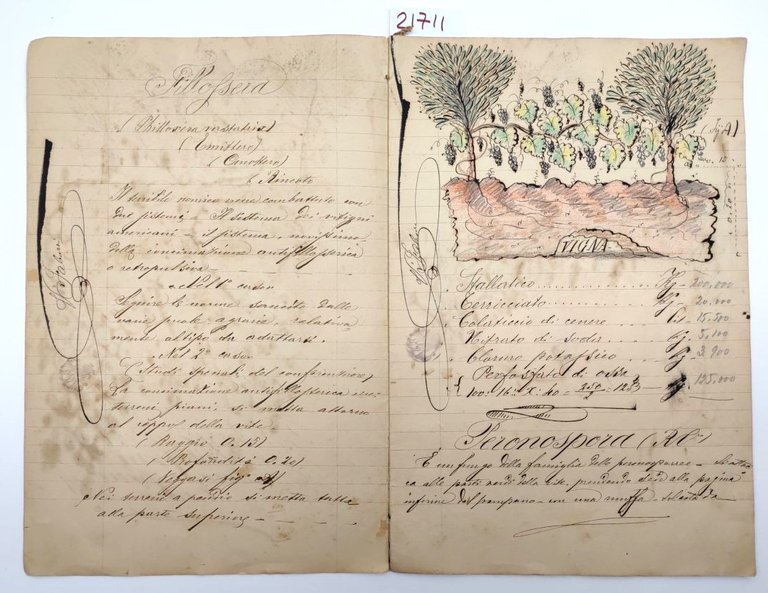 Ricettario manoscritto illustrato parassiti piante fruttifere 1920 c.a.