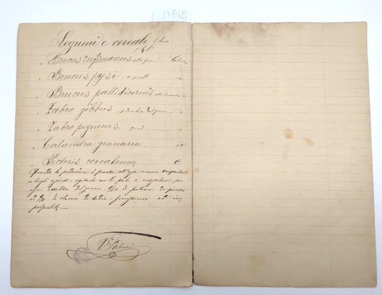 Ricettario manoscritto illustrato parassiti piante fruttifere 1920 c.a.