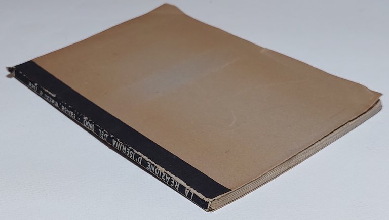 Risorgimento Cause mezzi e fine della reazione di Isernia avvenuta …