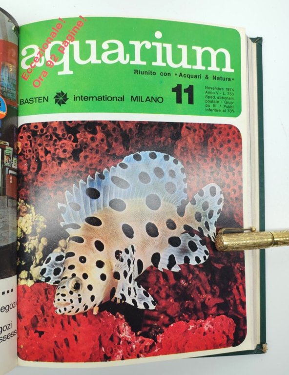 Rivista Aquarium annata 1974 12 numeri