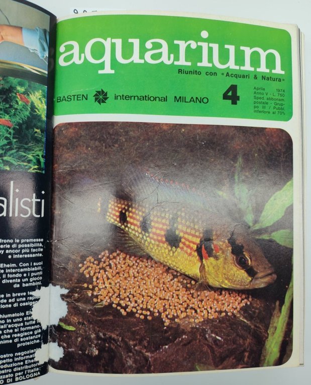 Rivista Aquarium annata 1974 12 numeri