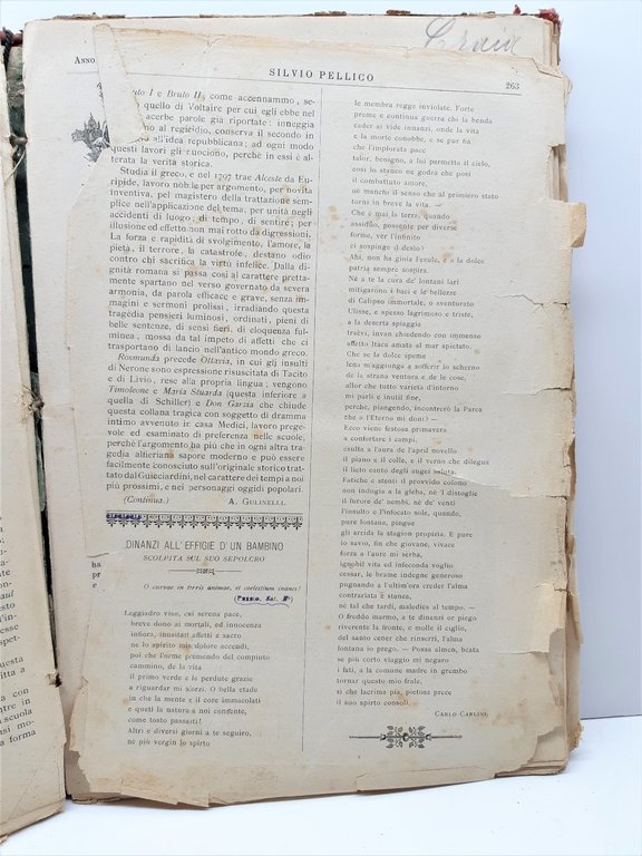Rivista Settimanale di lettere Arti e scienze Silvio Pellico 1896 …
