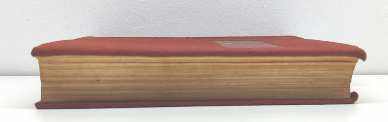 Salvator Gotta Ottocento sei tavole a colori di Giuseppe Amisani …