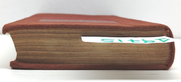 Salvator Gotta Ottocento sei tavole a colori di Giuseppe Amisani …