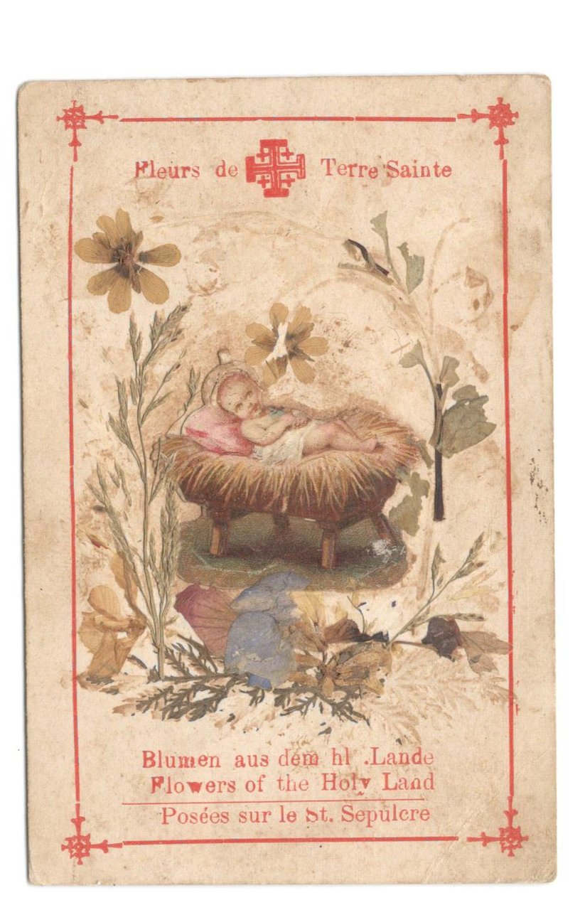 Santino Fleur de Terre Sainte Fiori della Terra Santa holy …