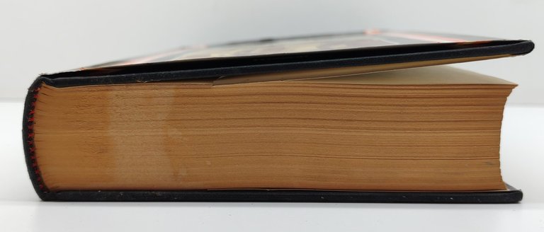 Silvio Bertoldi Salò Rizzoli 1° ed. del 1976 | Immagine Gallery 4