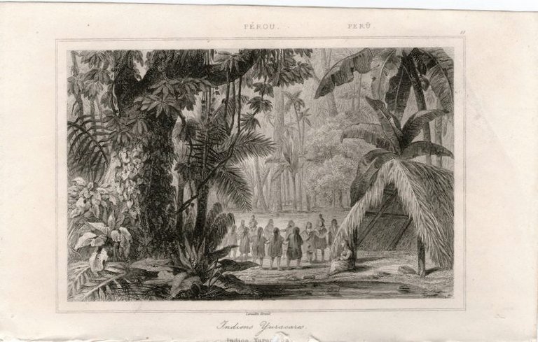 Stampa antica Old print Peru indiani Yuracares Lemaitre 1841