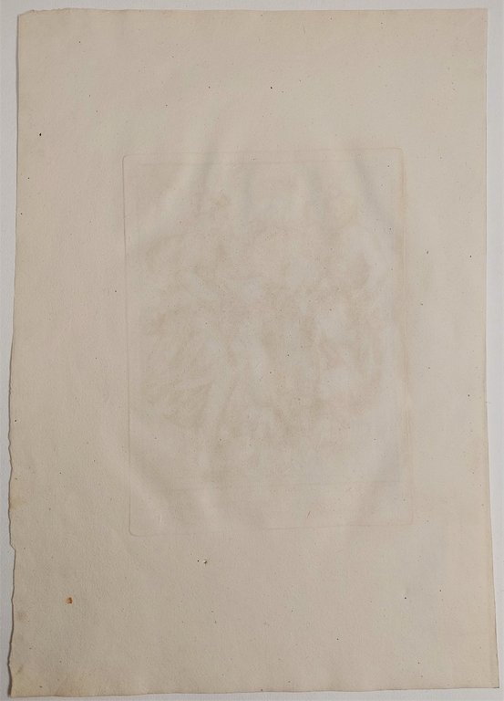 Stampa antica Raffaello pittore Pietro da Cortona dis. Mulinari incisore …