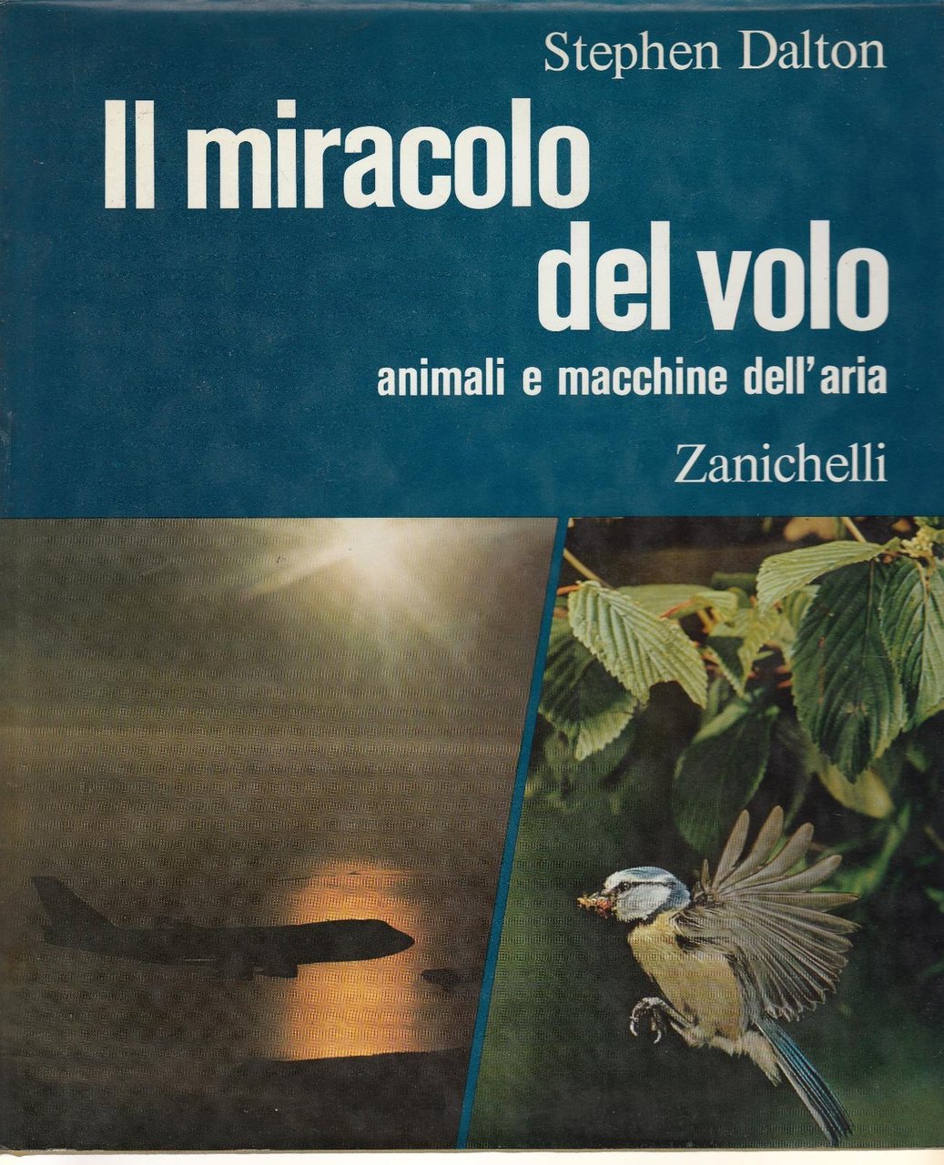 Stefan Dalton Il Miracolo Del Volo Animali E Macchine Dell'aria …