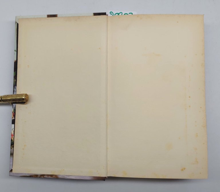 Stella Donati Le grandi ricette de La cucina italiana Varia …