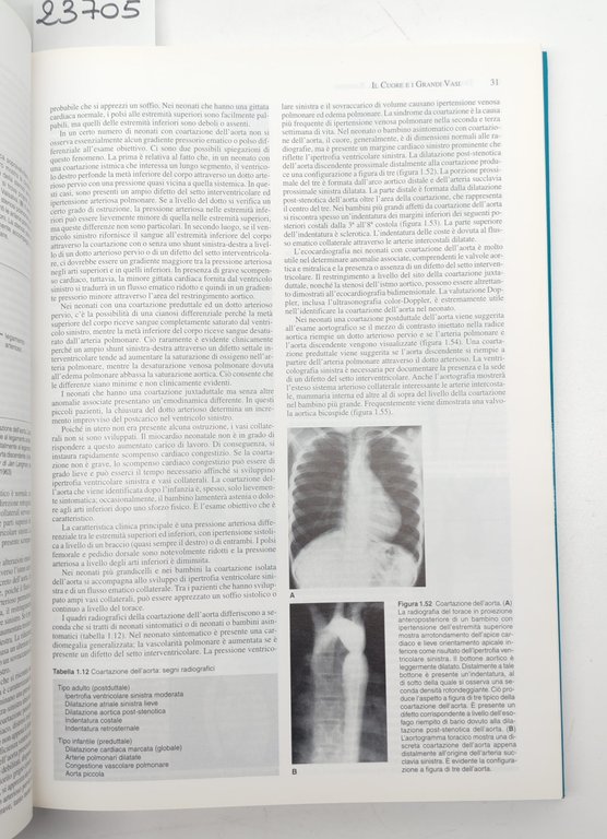 Sty, Wells, Starshak, Gregg Apparato cardiovascolare torace apparato muscolo scheletrico … | Immagine Gallery 4