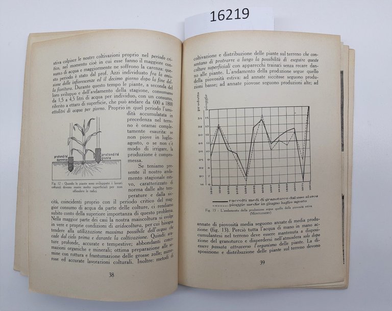 T. V. Zapparoli Il granoturco REDA 1939
