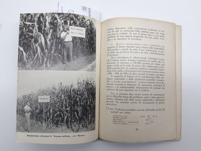 T. V. Zapparoli Il granoturco REDA 1939