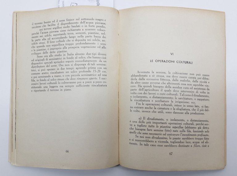 T. V. Zapparoli Il granoturco REDA 1939