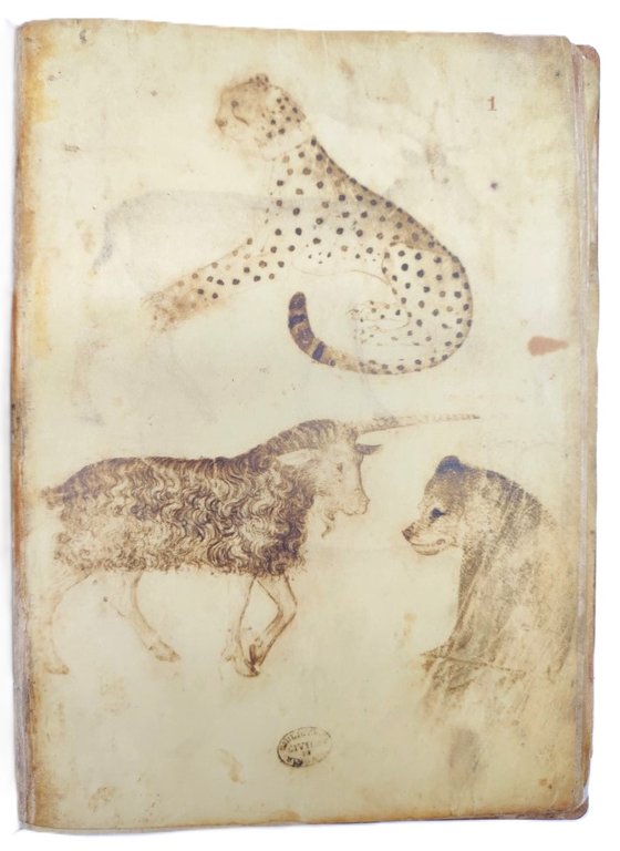 Taccuino di disegni di Giovannino de Grassi.1.21 Civica biblioteca Angelo …