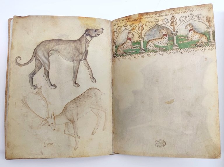 Taccuino di disegni di Giovannino de Grassi.1.21 Civica biblioteca Angelo …