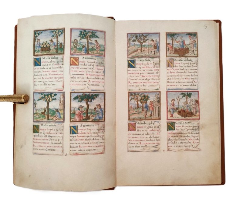 Tacuinum Sanitatis Codex Vindobonensis 2396 Facsimile Verlag 1984.