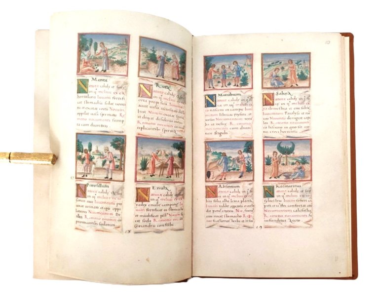 Tacuinum Sanitatis Codex Vindobonensis 2396 Facsimile Verlag 1984.