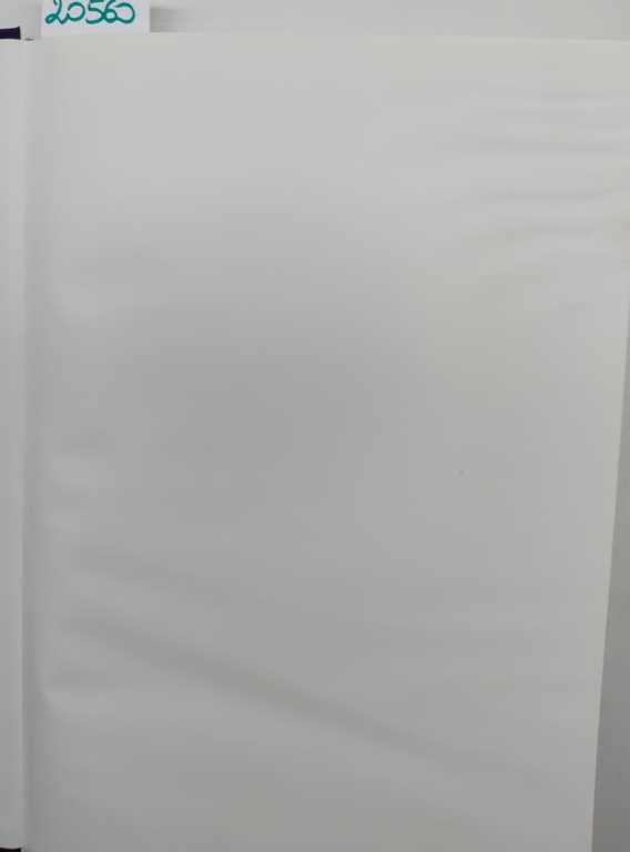 Ti ricordi di Joe. Storie cronistorie e immagini dei gruppi …