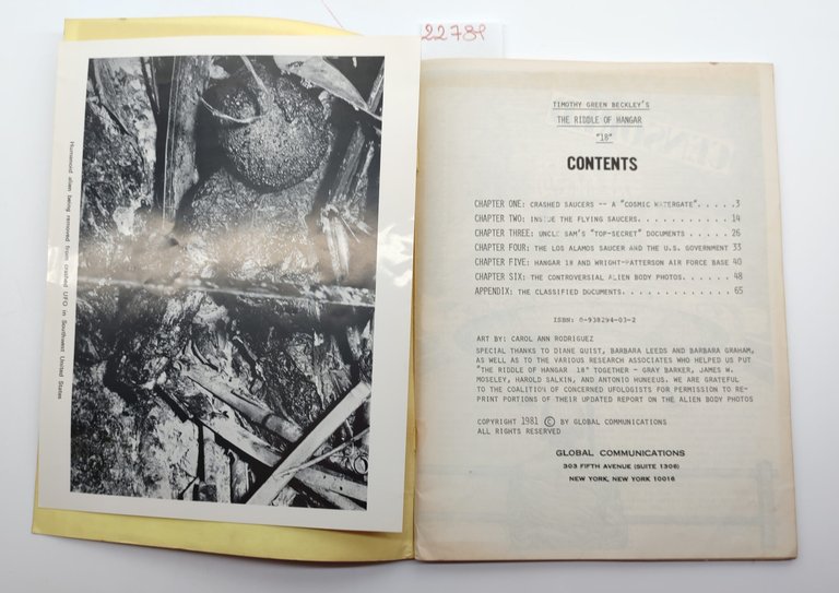 Timothy Green Beckley's Riddle of Hanger 18 1981 | Immagine Gallery 3