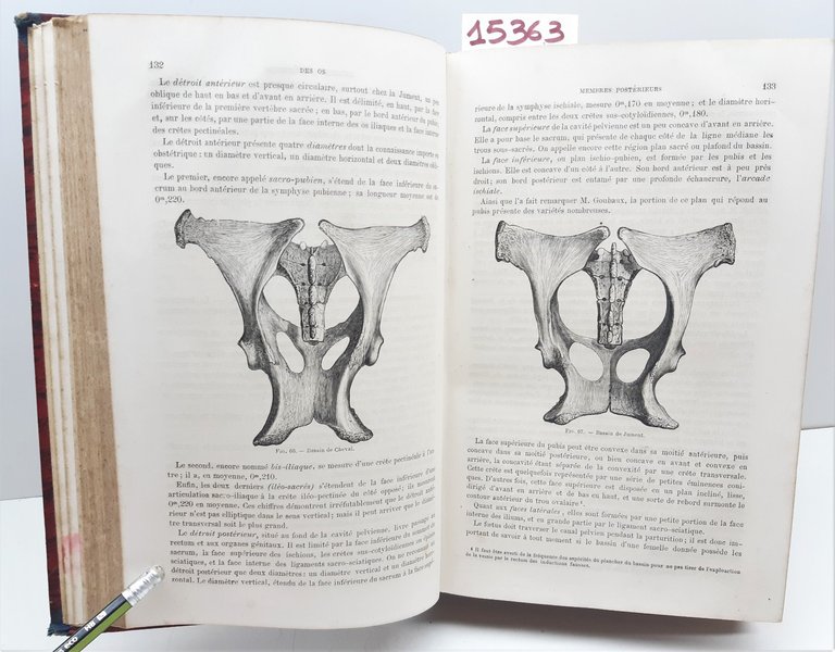 Traite d'anatomie comparÈe des animaux domestiques par a S. Arloing …
