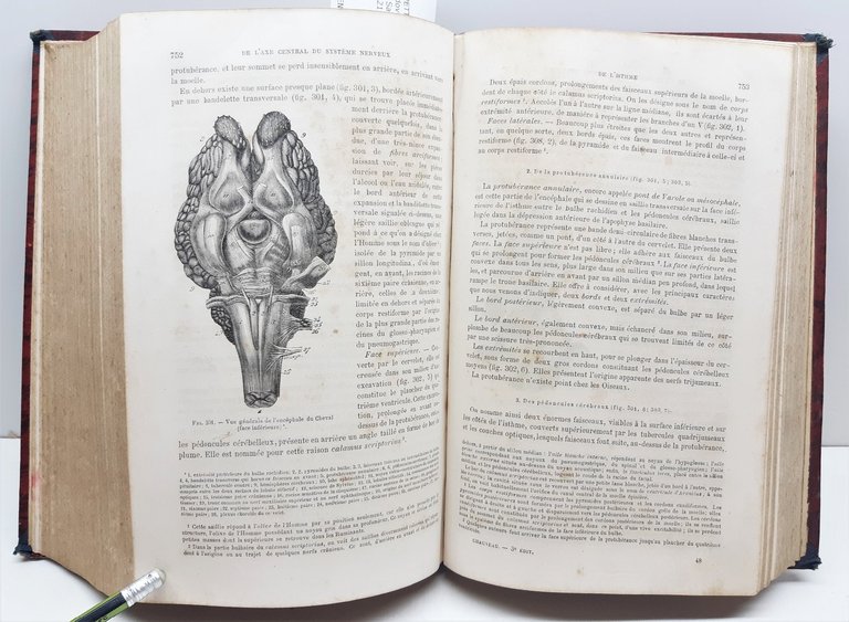 Traite d'anatomie comparÈe des animaux domestiques par a S. Arloing …