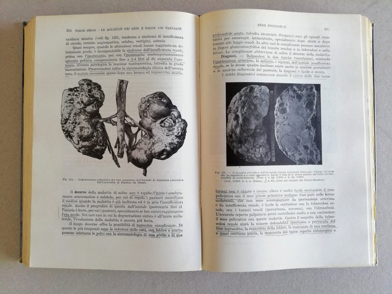 Trattato di Patologia Speciale Medica e Terapia M. Bufano P. … | Immagine Gallery 7