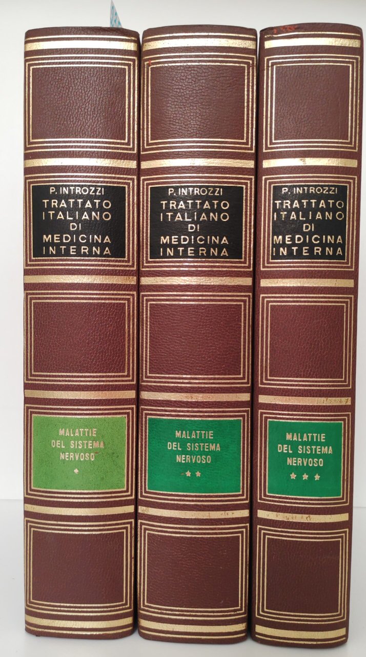 Trattato italiano di medicina interna Malattie del sistema nervoso 2° … | Immagine principale