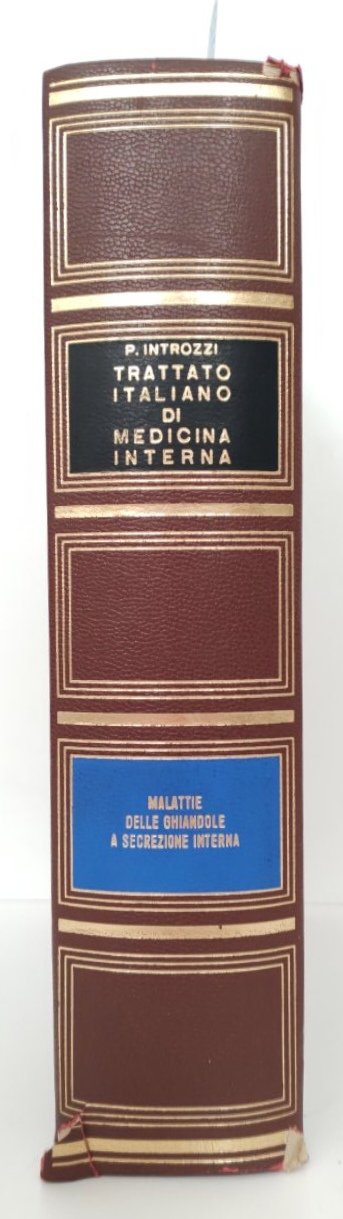 Trattato italiano di medicina interna Malattie delle ghiandole a secrezioni … | Immagine principale