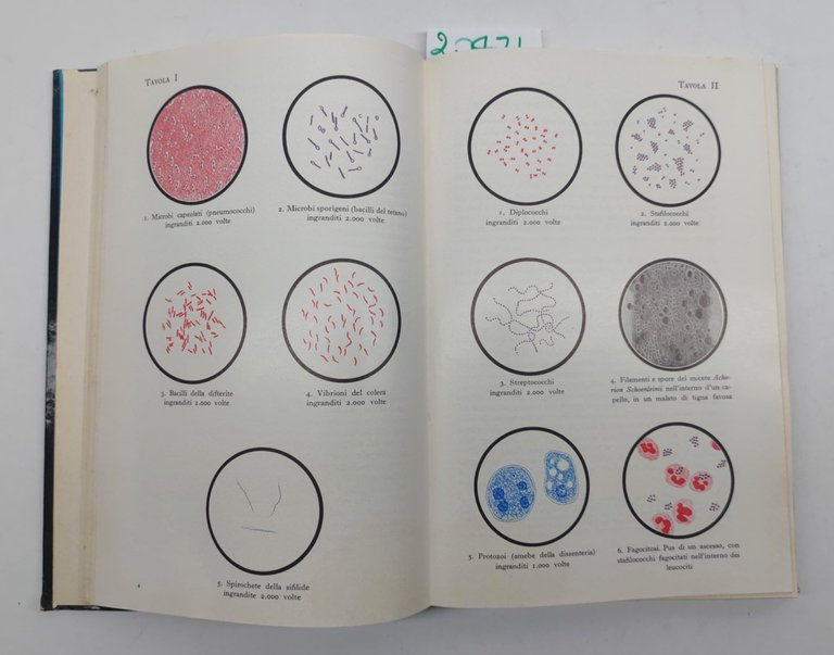 Ulrico di Aichelburg Igiene e medicina sociale volume 1 SEI …