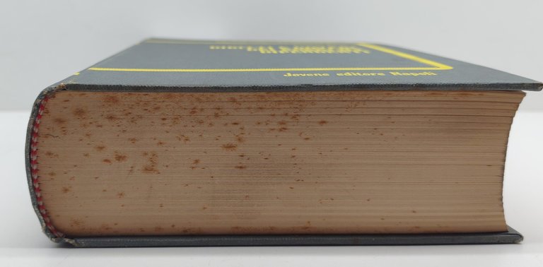 Vincenzo Russo Diritti e doveri dei pubblici dipendenti Jovene 1988 | Immagine Gallery 6