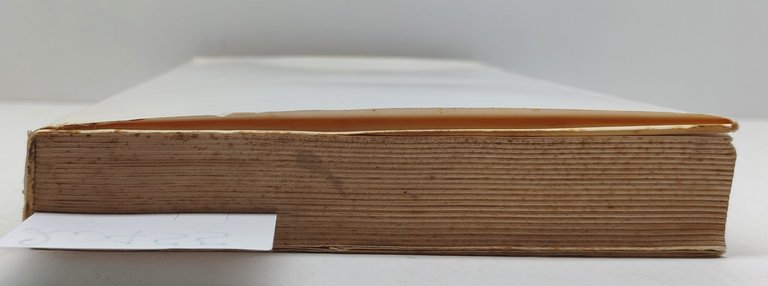 Vittorio Michelini Il professore Giuseppe Rotondi Editrice Idea Roma 1963