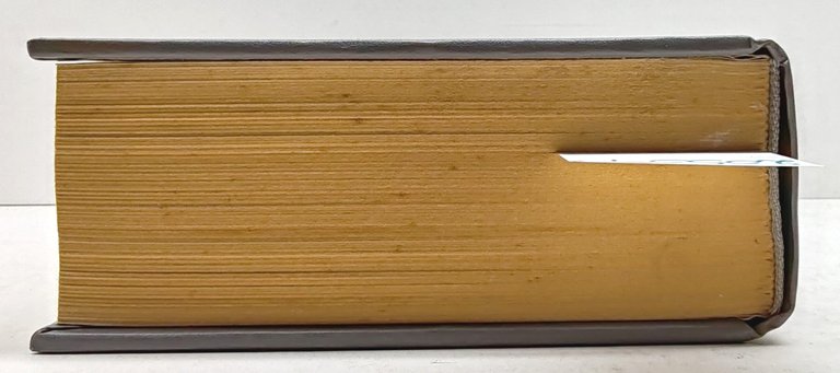 Vocabolario della lingua francese European Book Milano 1998