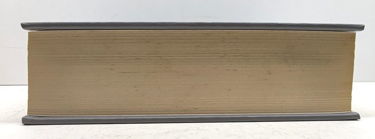 Vocabolario della lingua francese European Book Milano 1998