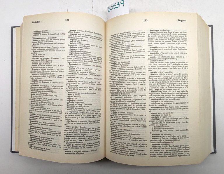 Vocabolario della lingua francese European Book Milano 1998