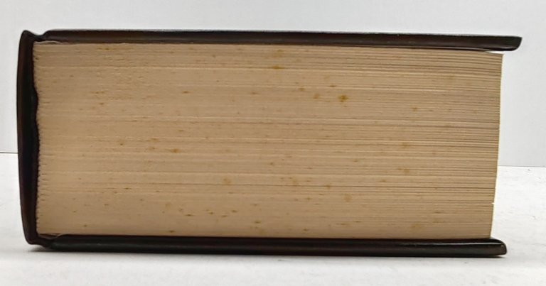 Vocabolario della lingua italiana European Book Milano 1998